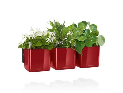 Green%20Wall%20Glossy