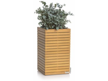 Lechuza Palo sloup....