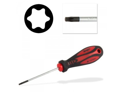 Šroubovák Torx T10x3x75