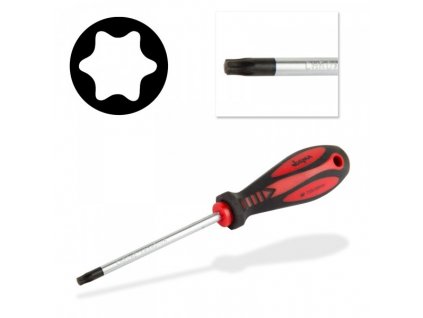 Skrutkovač torx T30x6x100