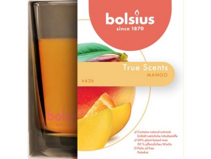 Sviečka Bolsius Jar True Scents 95/95 mm, vonná, mango, v skle