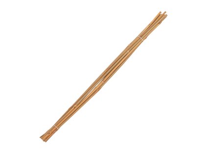 tonkin tycky bambusove 68 mm x 60 cm prirodne 10 ks