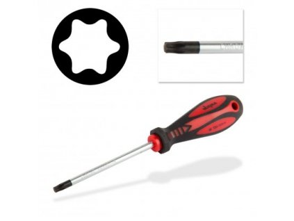 Skrutkovač torx T20x5x100