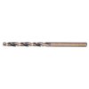 MAKITA VRTÁK DO KOVU HSS-GM2 10ks 4x119mm (P-62555-10)