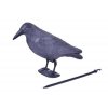 Plašič vtákov Havran čierny, 38 cm