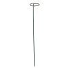 opora pre kvitnuce kvety 7x60 cm zelena