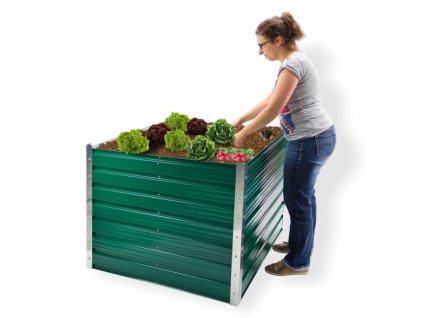 DEMA Kovový vyvýšený záhon Rosendaal 99x99x80 cm zelený