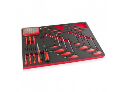 DEMA Skrutkovače, T-skrutkovače, bity - modul do zásuvky dielenského vozíka, 81-dielna sada