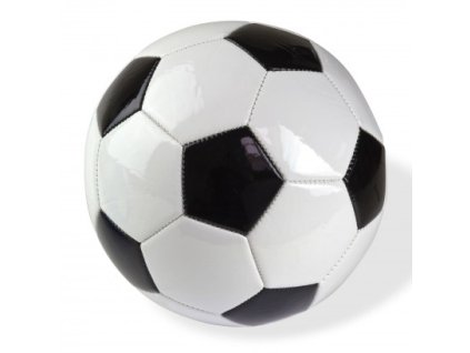 DEMA Futbalová lopta Star