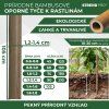 Tyc Garden KBT 1050/12-14 mm, 10 ks, bambus