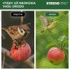 Sieť Strend Pro, 4x5 m, oko 18 mm, proti vtákom, PE