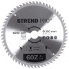 Kotúč Strend Pro TCT 250x3.0x30/20 mm 60T, na drevo, pílový, SK plátkami