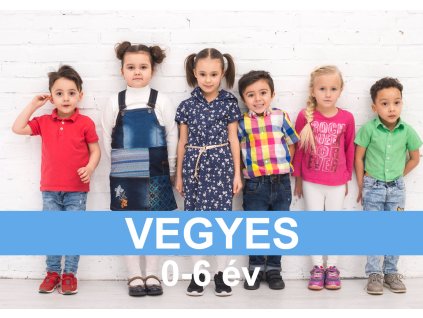 vegyeds06