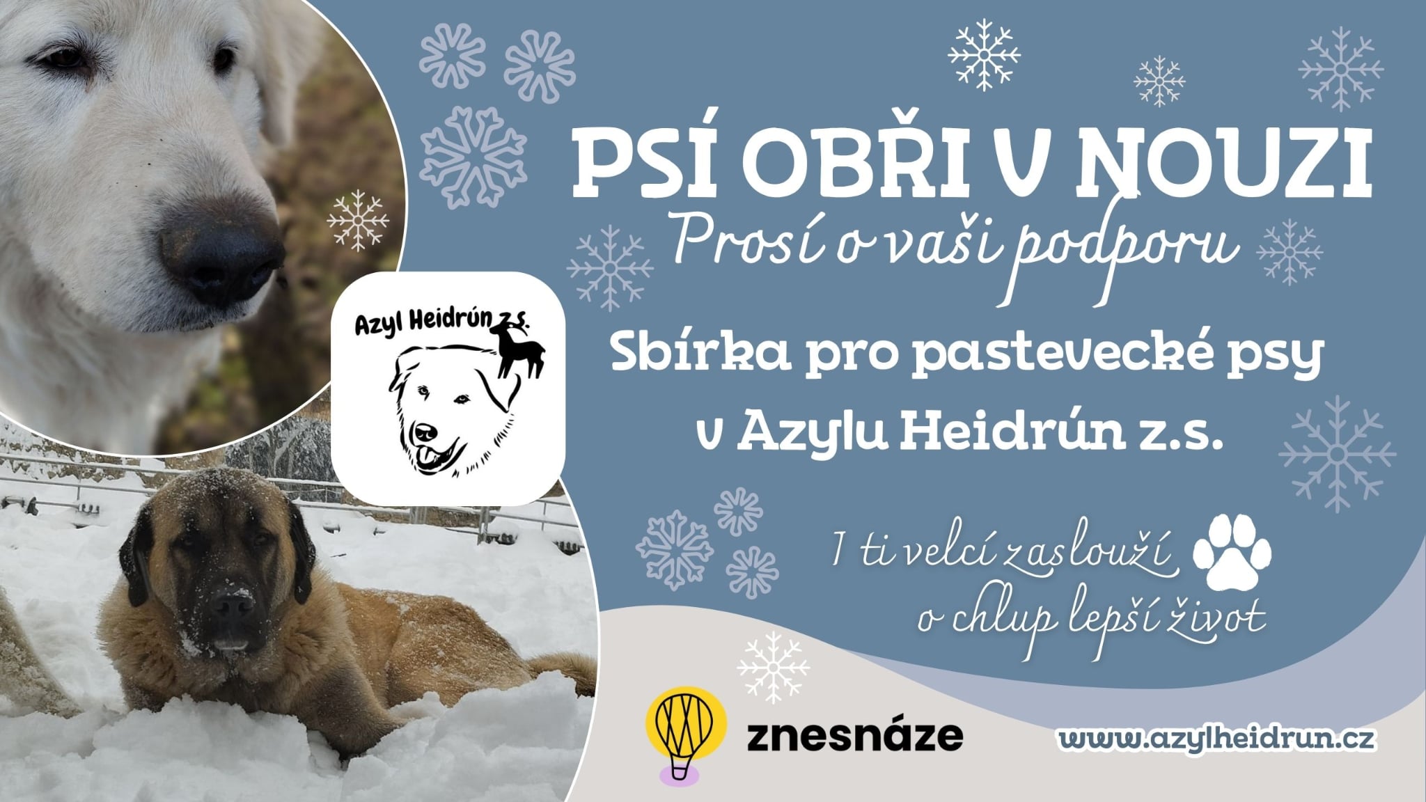 Sbírka - psí obři v nouzi