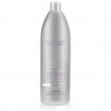 Amethyste Silver Shampoo - šampon pro blond, šedivé a melírované vlasy 1000 ml