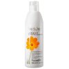 apricot 250