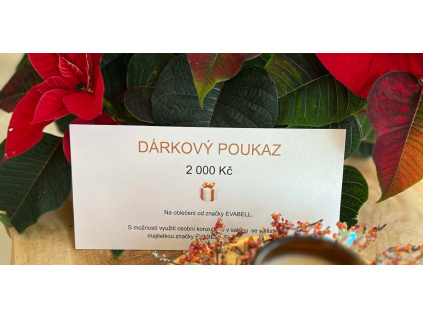 DÁRKOVÝ POUKAZ 2 000 Kč