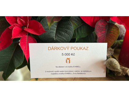 DÁRKOVÝ POUKAZ 5 000 Kč