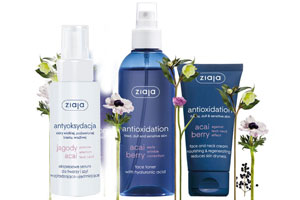 Antioxidační řada Ziaja Acai Berry