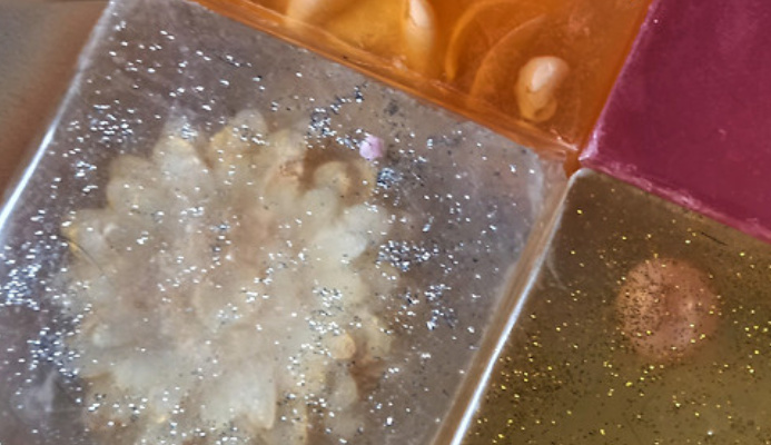 Pravda o domácích mýdlech