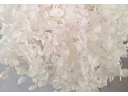 viber image 2023 11 04 10 57 37 925w