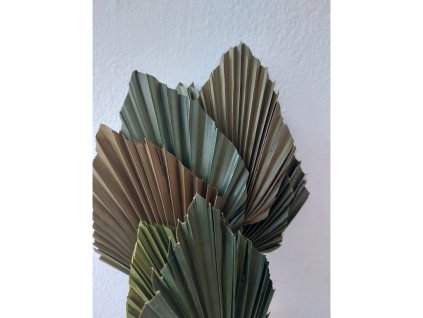 Palmový list - farba machovo zelená