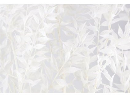 viber image 2024 01 20 08 38 25 359a