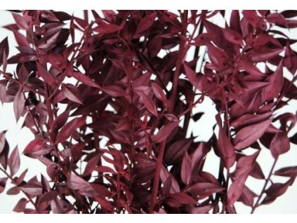 viber image 2024 01 20 08 38 25 414