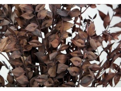 viber image 2024 01 20 08 52 50 335