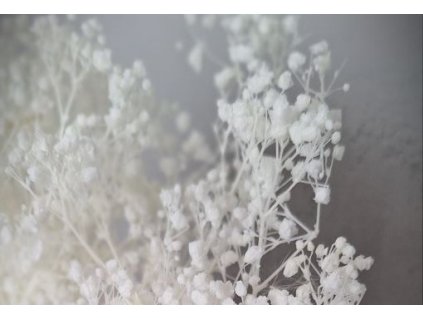 viber image 2024 03 10 14 36 24 1801