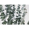Stabilizovaný Eukalyptus - Baby - farba zelená