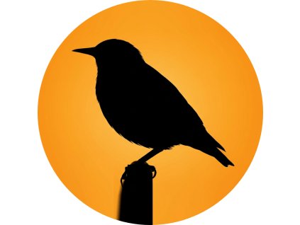 downloaded file (42) modified