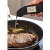 steak thermapen