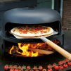366 4 ofyr pizza oven 100