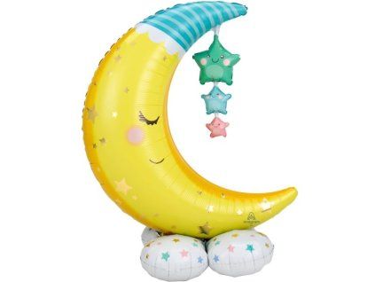 vyr 1295 AIR 03 Moonie