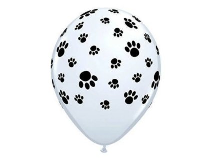 vyr 354 DOG 05
