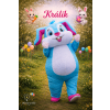 Králík
