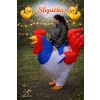 Slepička