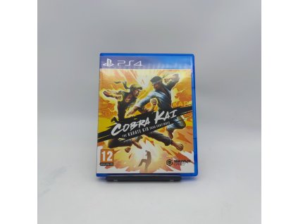 stav a cobra kai the karate kid continues ps4