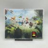 Stav B Rayman Legends Definitive Edition (NS)