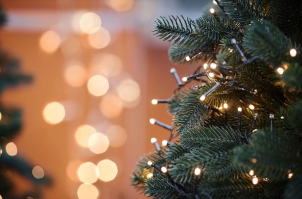 Kolik LED světýlek potřebujete na vánoční stromeček?