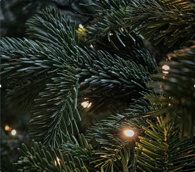 Aké prednosti má umelý vianočný stromček?