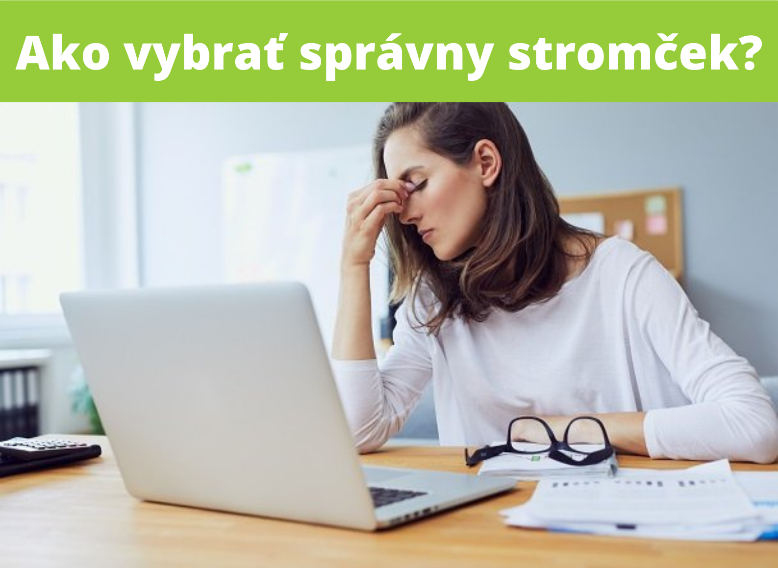 Ako si vybrať správny umelý stromček? NÁVOD!