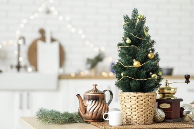 Živý vianočný stromček v kvetináči ako ekologická voľba