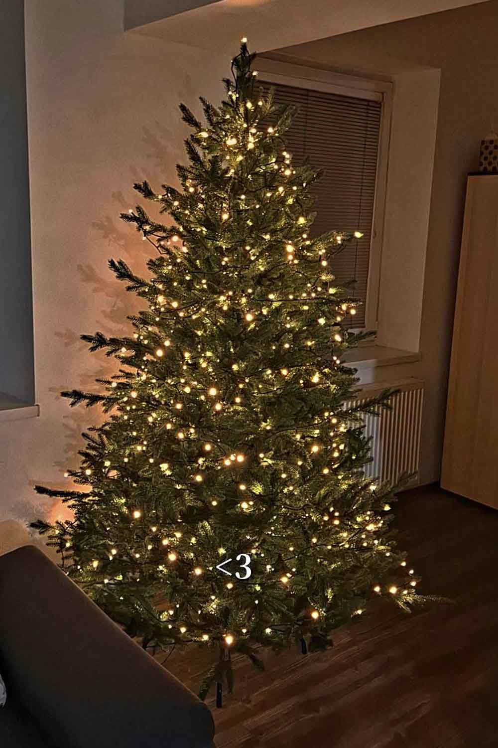 Hustota vetvičiek Evigrin Reina