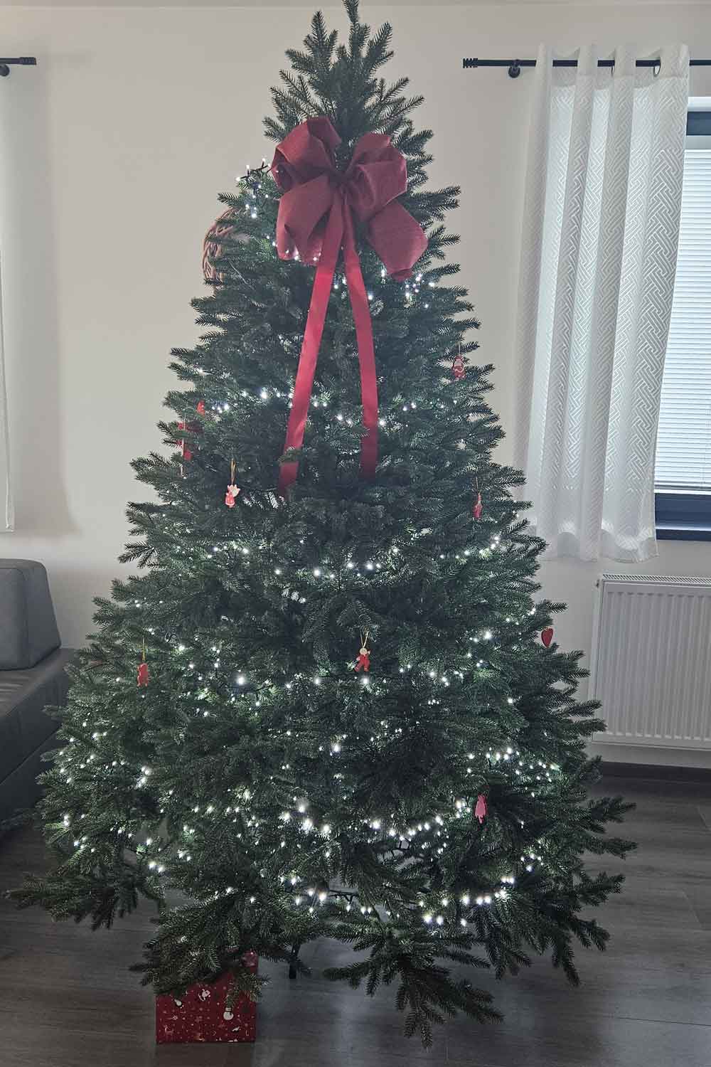 Evigrin stromček u zákazníka