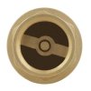 Zpětná klapka 1" s mosaznou klapkou (NRVF03)