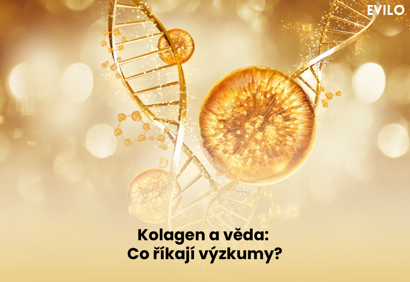 Kolagen a věda: Co říkají výzkumy?