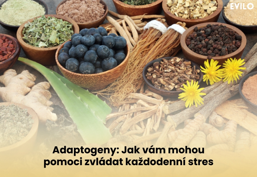 Adaptogeny: Jak vám mohou pomoci zvládat každodenní stres