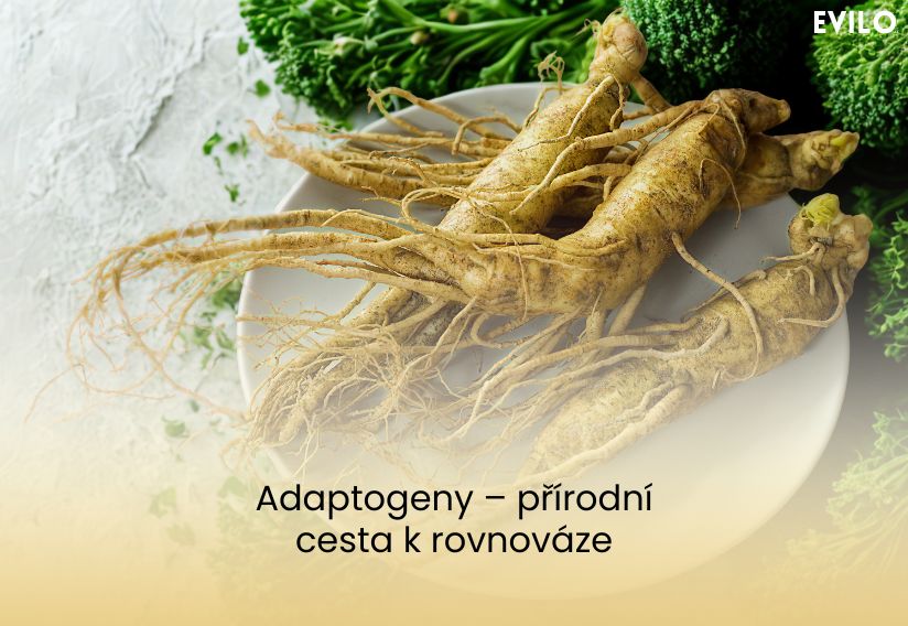 Adaptogeny – přírodní cesta k rovnováze